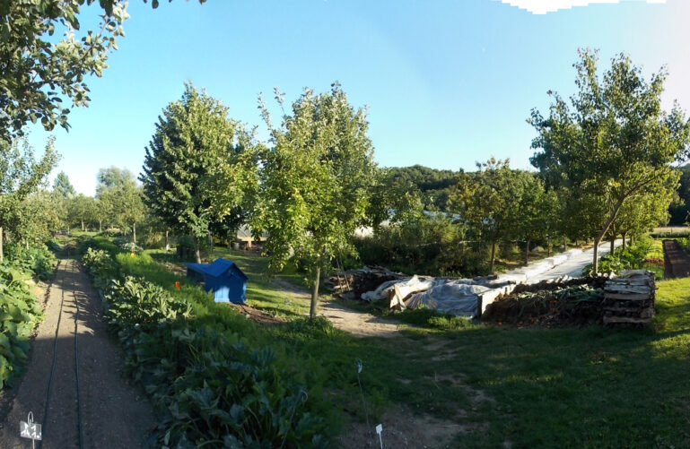 1 Sente Du Moulin Au Cat 27800 Le Bec Hellouin La Ferme du Bec Hellouin - La Forêt Nourricière