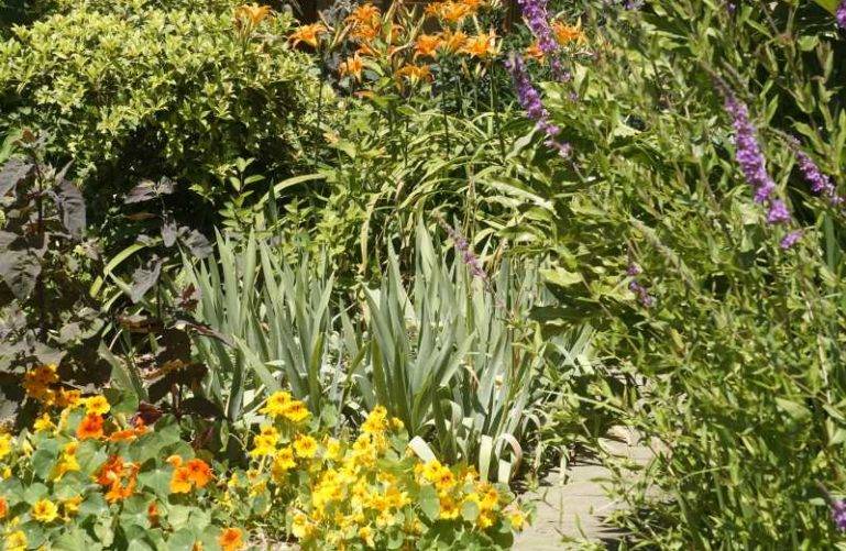 couvre-sol-joel1-769×501