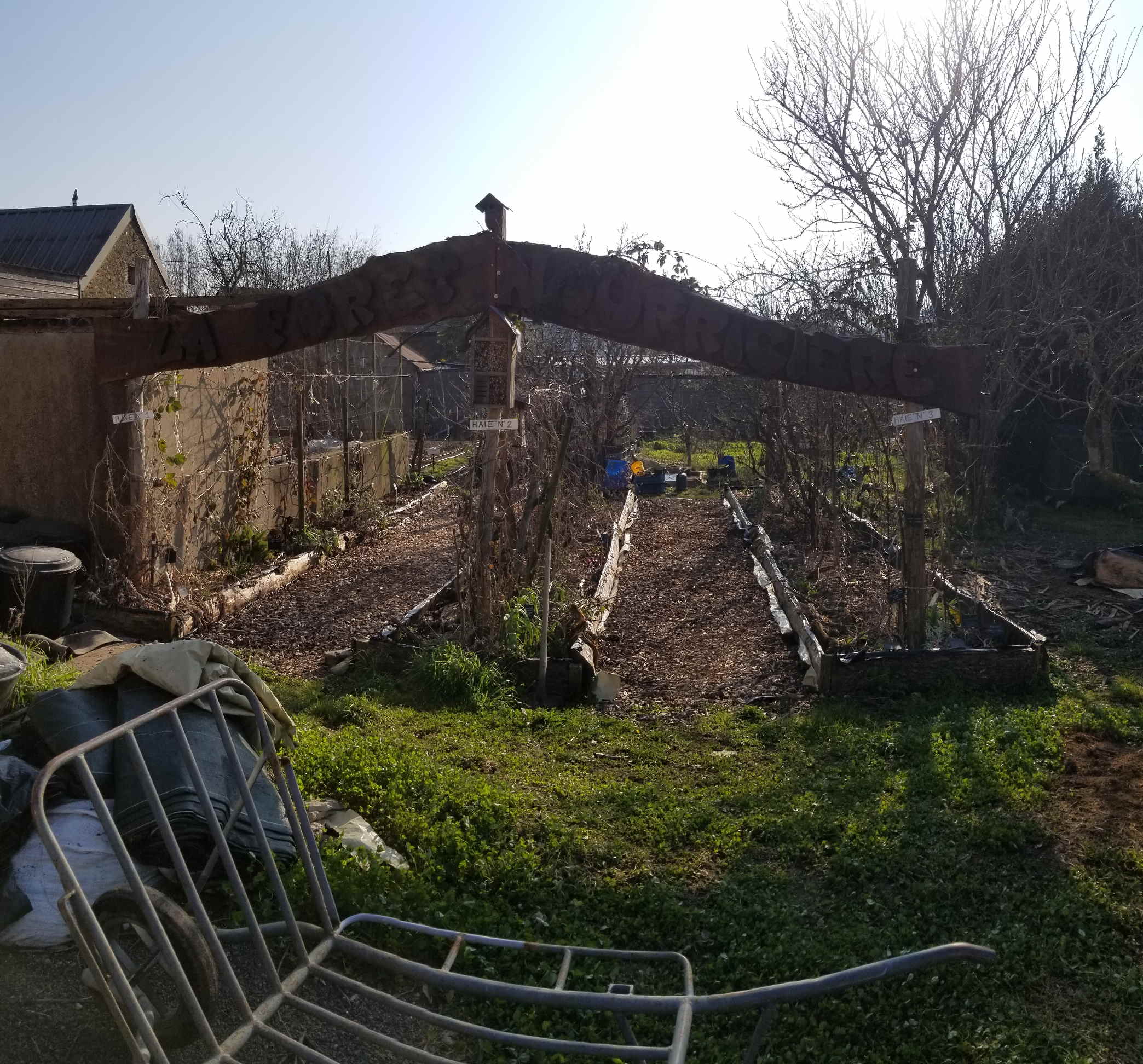 Arche de la Forêt Nourricière