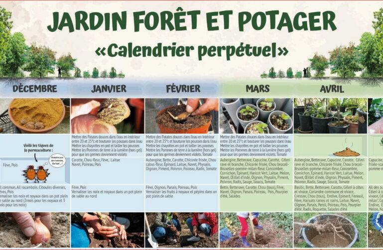 Calendrier du potager pour jardinier urbain - Echoppe Végétale