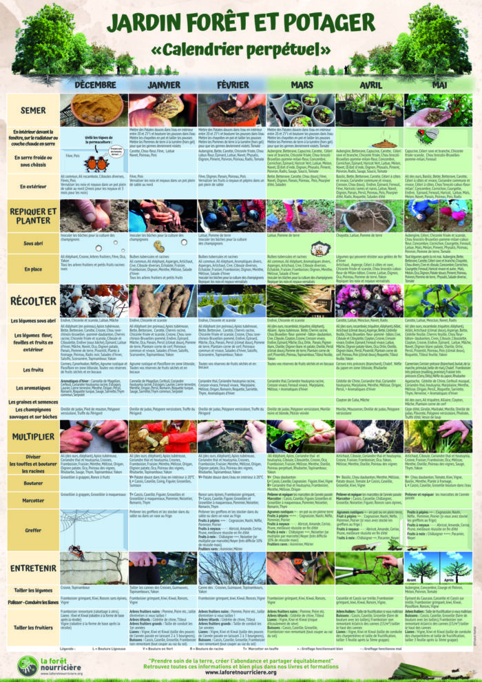 calendrier perpétuel du jardin-forêt, réalisé sous forme de poster par la Forêt Nourricière