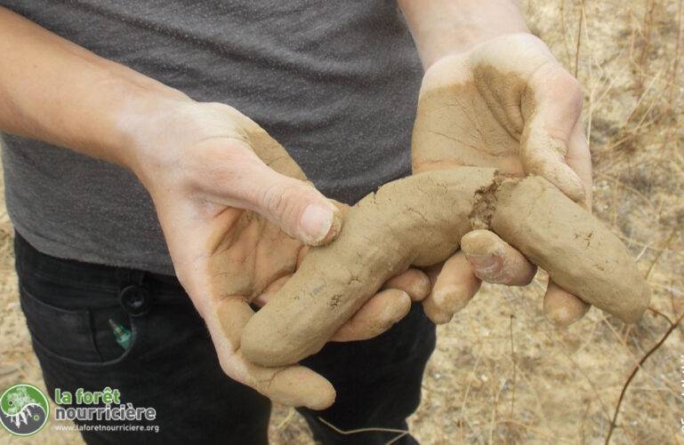 test de boudin avec la terre se son sol pour savoir si le sol est argileux ou sableux