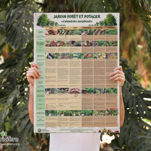 poster calendrier perpétuel du jardin forêt avec les travaux au jardin en permaculture mois par mois