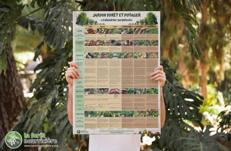 poster calendrier perpétuel du jardin forêt avec les travaux au jardin en permaculture mois par mois