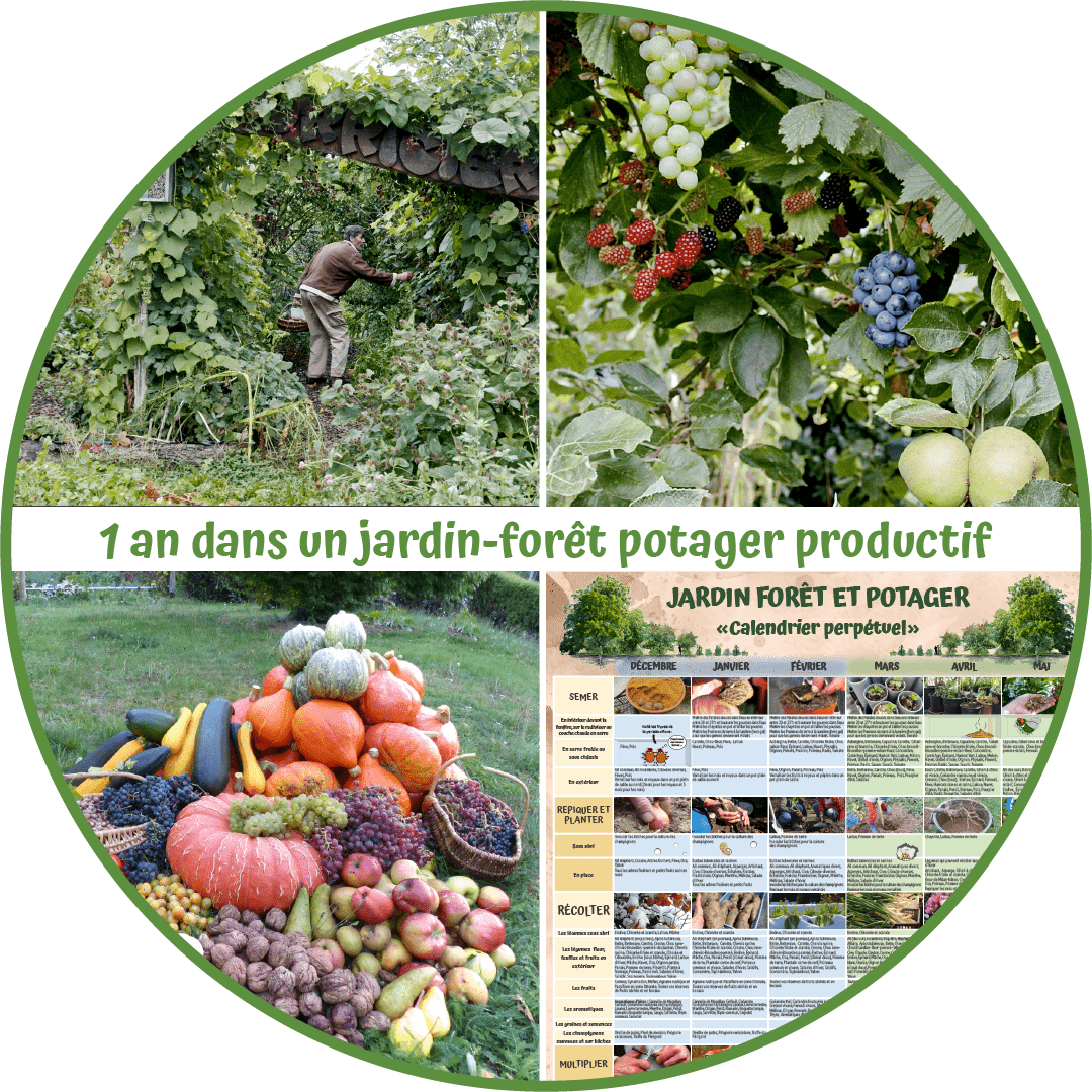 formation-un-an-jardin-foret-2