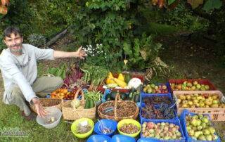 franck nathié récolte de nombreux fruits et légumes dans son jardin forêt de Simplé en Mayenne