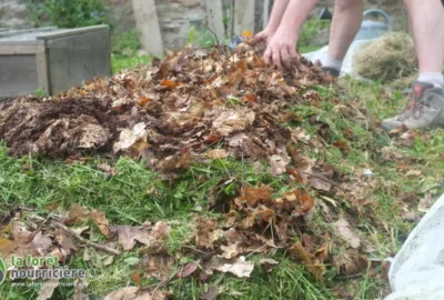 lasagne au jardin : empilement de tontes et de feuilles mortes