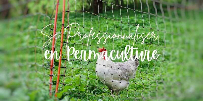 permaculture-avec-formation-en-ligne-professionel