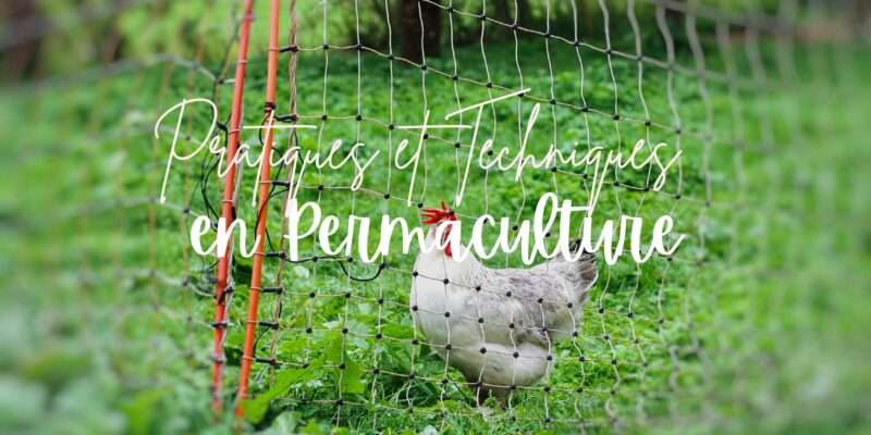 permaculture-avec-formation-en-ligne-techniques