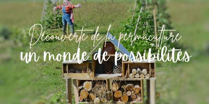 differences-entre-formations-en-permaculture