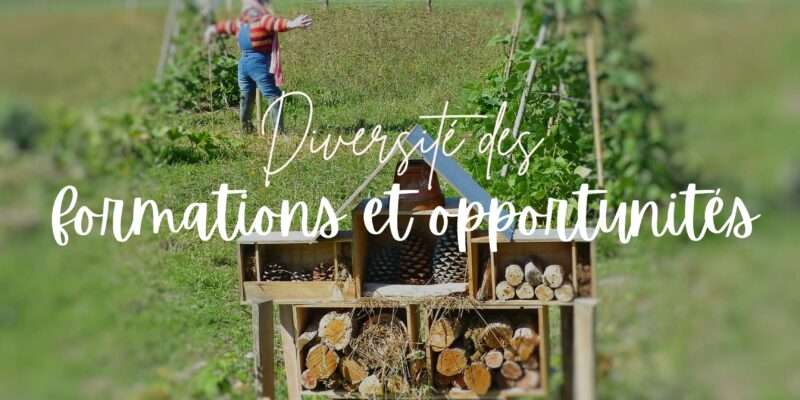 differences-entre-formations-en-permaculture-formations