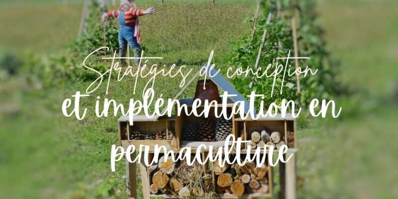 differences-entre-formations-en-permaculture-implementation
