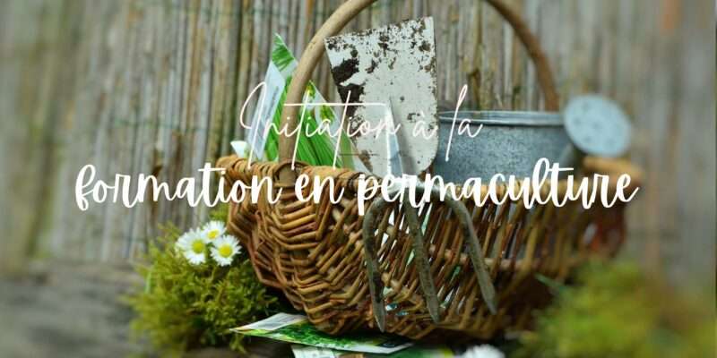 formation-en-permaculture-guide-complet-initiation
