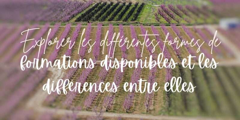 choisir-sa-formation-en-permaculture-differentes-formes