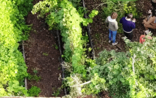 visite-jardin-foret-la-foret-nourriciere