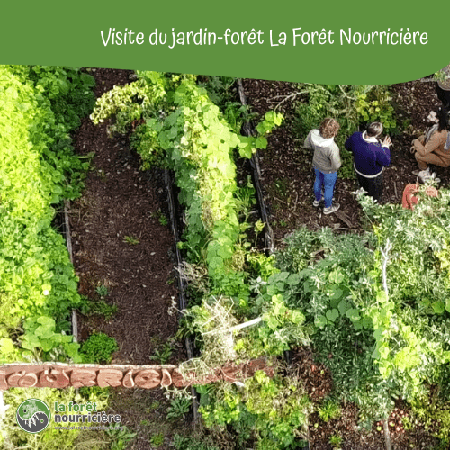 visite-jardin-foret-la-foret-nourriciere