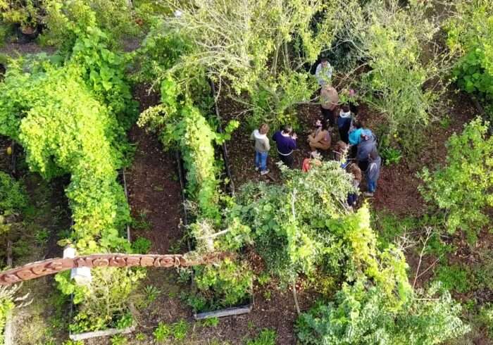 visite-jardin-foret