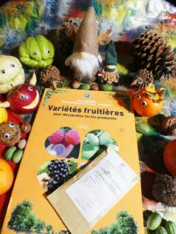 Variétés fruitières et sachets de graines offert varietes-fruitieres-sachet-graines