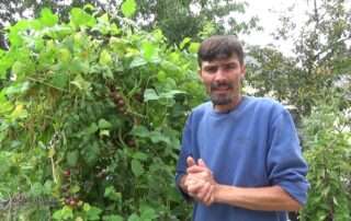 permaculture-urbaine