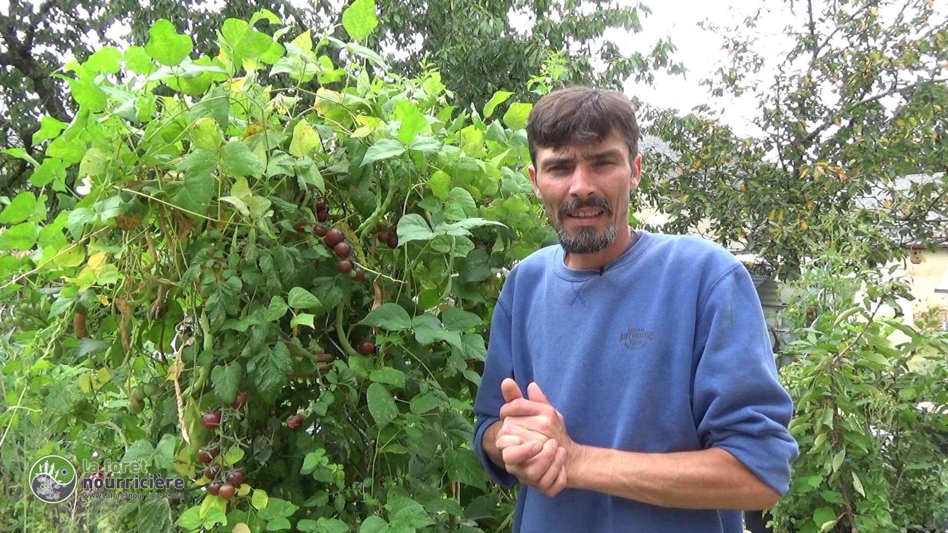 permaculture-urbaine