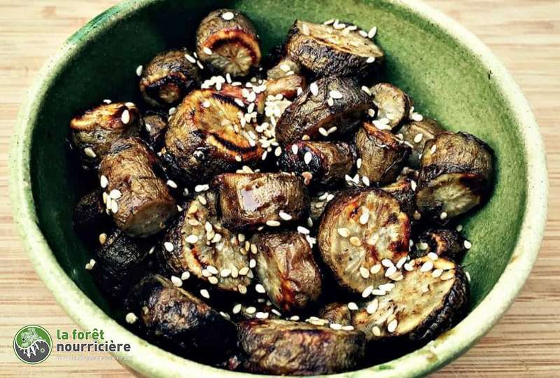 liane-de-madere-cuisinee