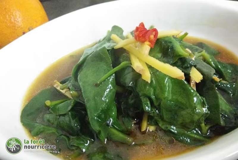 soupe-feuilles-liane-mandera